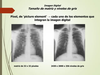matriz de 32 x 32 píxeles 2430 x 2000 x 256 niveles de gris
Imagen Digital
Tamaño de matriz y niveles de gris
Píxel, de ‘picture element’ → cada uno de los elementos que
integran la imagen digital
 
