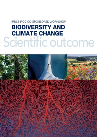 Scientificoutcome
IPBES-IPCC CO-SPONSORED WORKSHOP
BIODIVERSITY AND
CLIMATE CHANGE
 