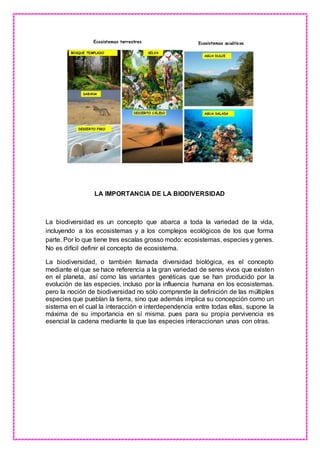 LA IMPORTANCIA DE LA BIODIVERSIDAD
La biodiversidad es un concepto que abarca a toda la variedad de la vida,
incluyendo a los ecosistemas y a los complejos ecológicos de los que forma
parte. Por lo que tiene tres escalas grosso modo: ecosistemas, especies y genes.
No es difícil definir el concepto de ecosistema.
La biodiversidad, o también llamada diversidad biológica, es el concepto
mediante el que se hace referencia a la gran variedad de seres vivos que existen
en el planeta, así como las variantes genéticas que se han producido por la
evolución de las especies, incluso por la influencia humana en los ecosistemas.
pero la noción de biodiversidad no sólo comprende la definición de las múltiples
especies que pueblan la tierra, sino que además implica su concepción como un
sistema en el cual la interacción e interdependencia entre todas ellas, supone la
máxima de su importancia en sí misma. pues para su propia pervivencia es
esencial la cadena mediante la que las especies interaccionan unas con otras.
 