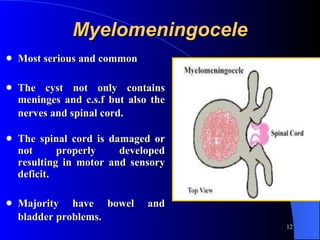 Myelomeningocele Most serious and common  The cyst not only contains meninges and c.s.f but also the nerves and spinal cord.   The spinal cord is damaged or not properly developed resulting in motor and sensory deficit.  Majority have bowel and bladder problems.   