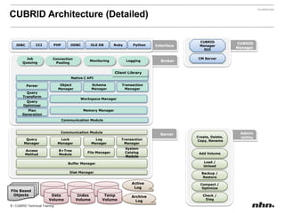 Query Plan Cache