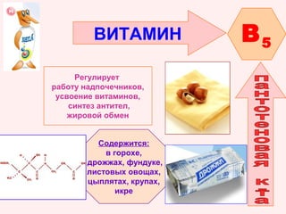 ВИТАМИН
Регулирует
работу надпочечников,
усвоение витаминов,
синтез антител,
жировой обмен
Содержится:
в горохе,
дрожжах, фундуке,
листовых овощах,
цыплятах, крупах,
икре

B5

 