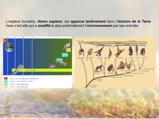 L’espèce humaine, Homo sapiens, est apparue tardivement dans l’histoire de la Terre
mais c’est elle qui a modifié le plus profondément l’environnement par ses activités
 