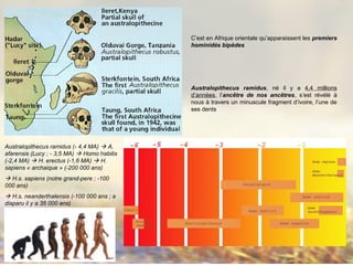 Australopithecus ramidus (- 4,4 MA)  A.
afarensis (Lucy ; - 3,5 MA)  Homo habilis
(-2,4 MA)  H. erectus (-1,6 MA)  H.
sapiens « archaique » (-200 000 ans)
 H.s. sapiens (notre grand-pere ; -100
000 ans)
 H.s. neanderthalensis (-100 000 ans ; a
disparu il y a 35 000 ans)
C’est en Afrique orientale qu’apparaissent les premiers
hominidés bipèdes
Australopithecus ramidus, né il y a 4,4 millions
d’années, l’ancêtre de nos ancêtres, s’est révélé à
nous à travers un minuscule fragment d’ivoire, l’une de
ses dents
 