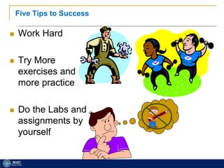 11
Five Tips to Success
 Work Hard
 Try More
exercises and
more practice
 Do the Labs and
assignments by
yourself
 
