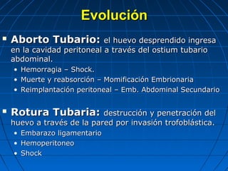 EvoluciónEvolución
 Aborto Tubario:Aborto Tubario: el huevo desprendido ingresael huevo desprendido ingresa
en la cavidad peritoneal a través del ostium tubarioen la cavidad peritoneal a través del ostium tubario
abdominal.abdominal.
• Hemorragia – Shock.Hemorragia – Shock.
• Muerte y reabsorción – Momificación EmbrionariaMuerte y reabsorción – Momificación Embrionaria
• Reimplantación peritoneal – Emb. Abdominal SecundarioReimplantación peritoneal – Emb. Abdominal Secundario
 Rotura Tubaria:Rotura Tubaria: destrucción y penetración deldestrucción y penetración del
huevo a través de la pared por invasión trofoblástica.huevo a través de la pared por invasión trofoblástica.
• Embarazo ligamentarioEmbarazo ligamentario
• HemoperitoneoHemoperitoneo
• ShockShock
 