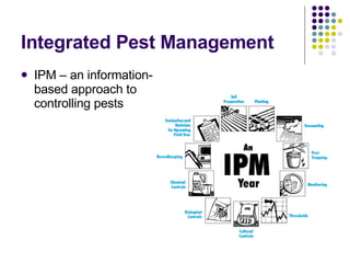 Chapter 5 Notes: Pest Managment | PPT