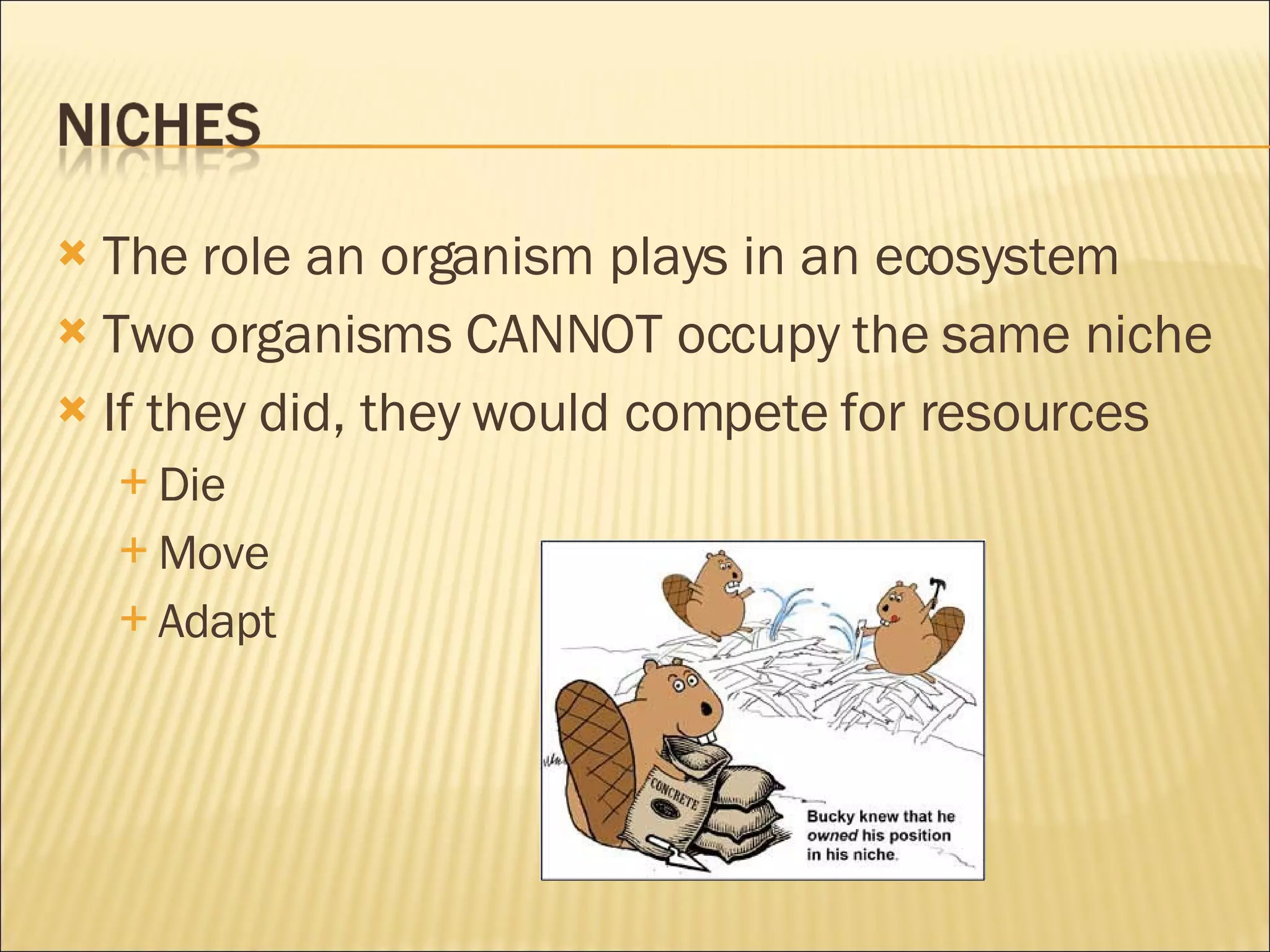The role an organism plays in an ecosystem Two organisms CANNOT occupy the same niche If they did, they would compete for resources Die Move Adapt 