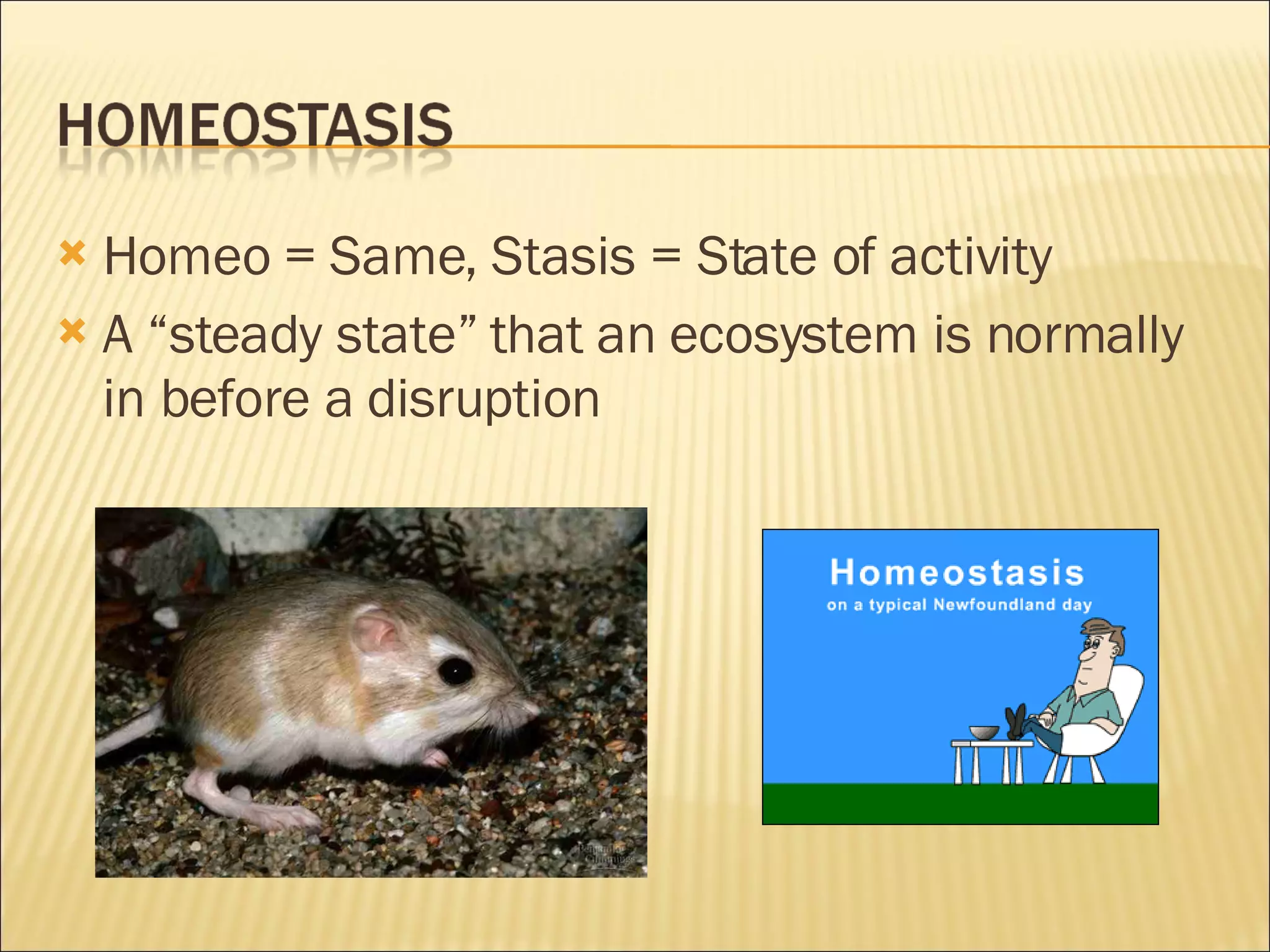 Homeo = Same, Stasis = State of activity A “steady state” that an ecosystem is normally in before a disruption 