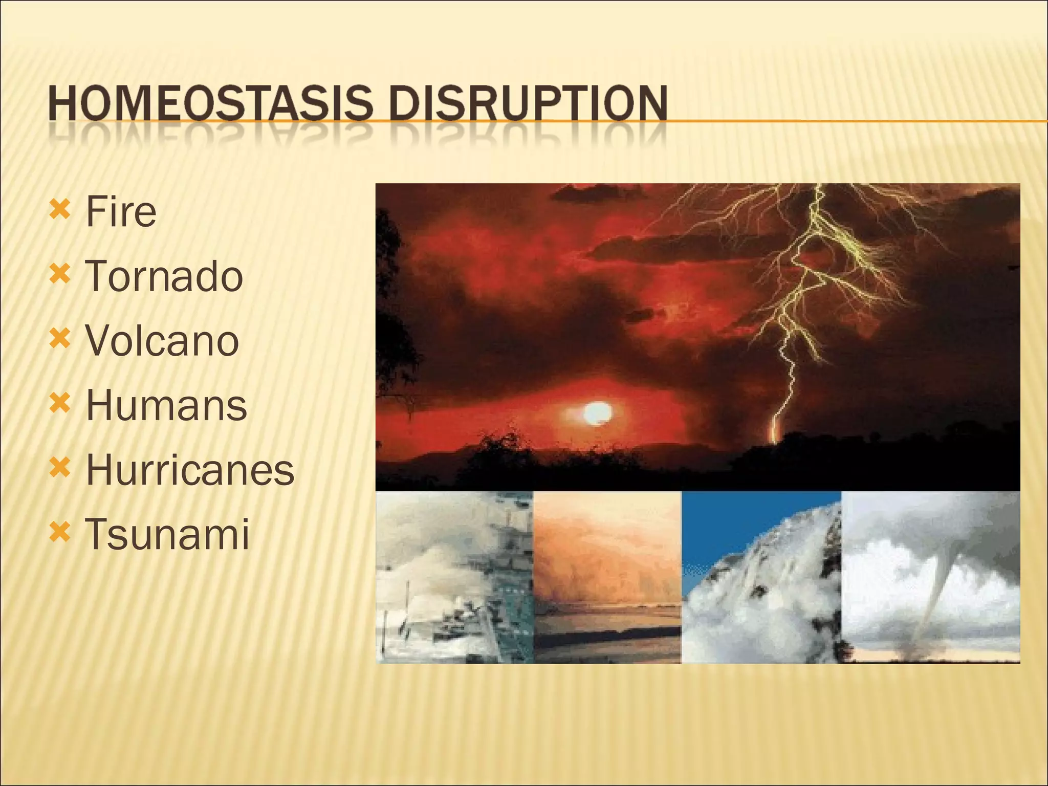 Fire Tornado Volcano Humans Hurricanes Tsunami 