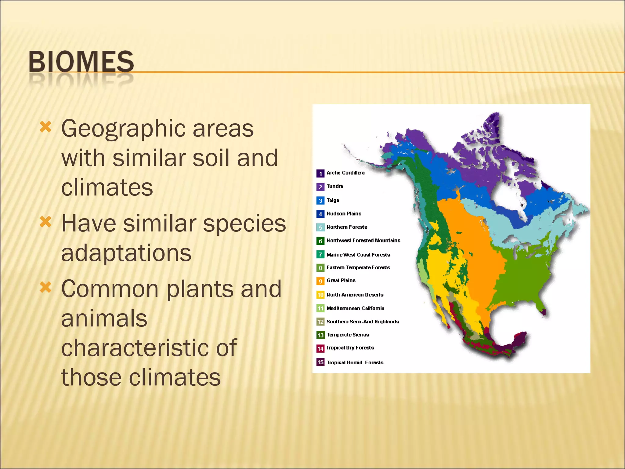 Geographic areas with similar soil and climates Have similar species adaptations Common plants and animals characteristic of those climates 