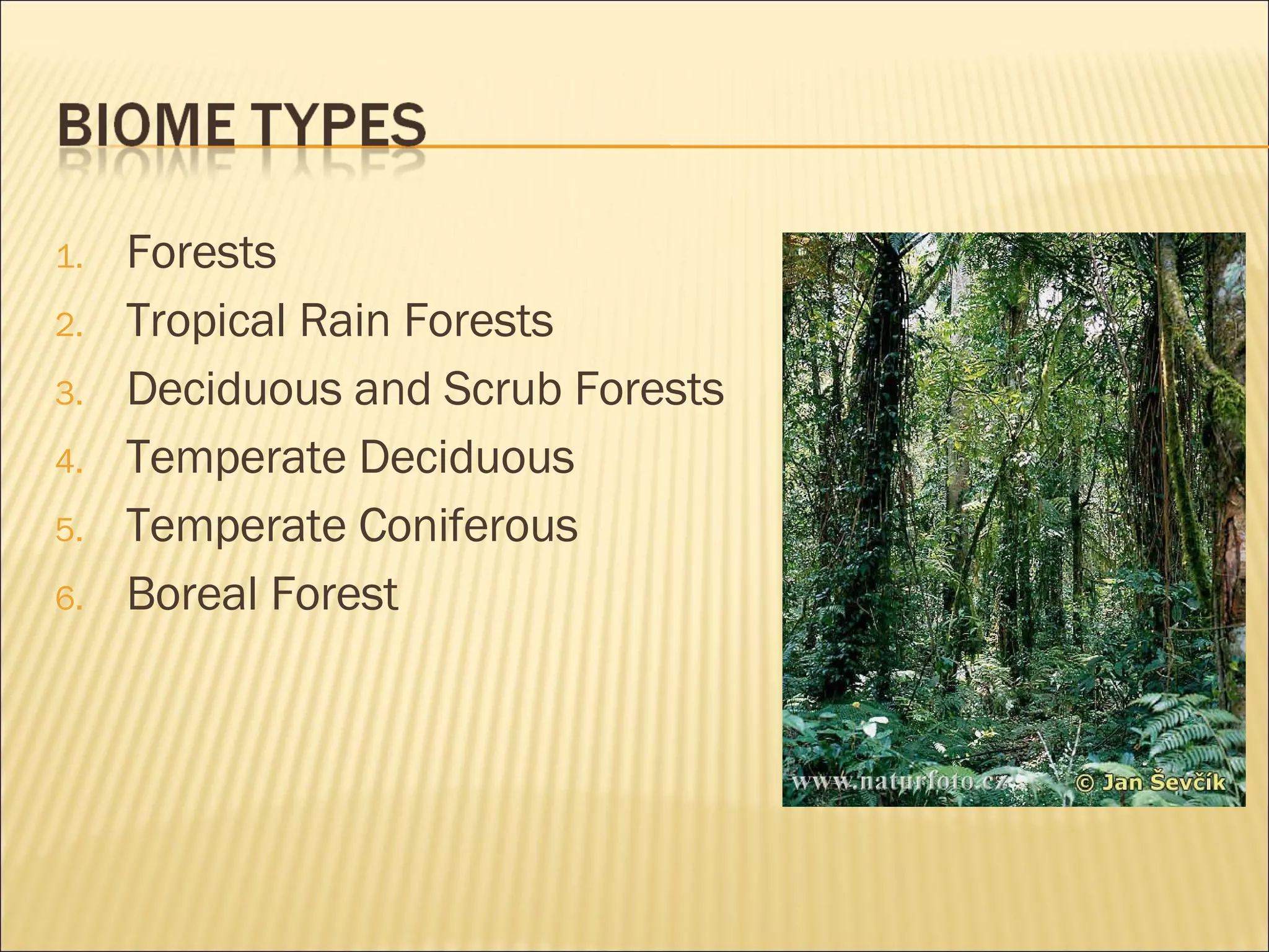 Forests Tropical Rain Forests Deciduous and Scrub Forests Temperate Deciduous Temperate Coniferous Boreal Forest 