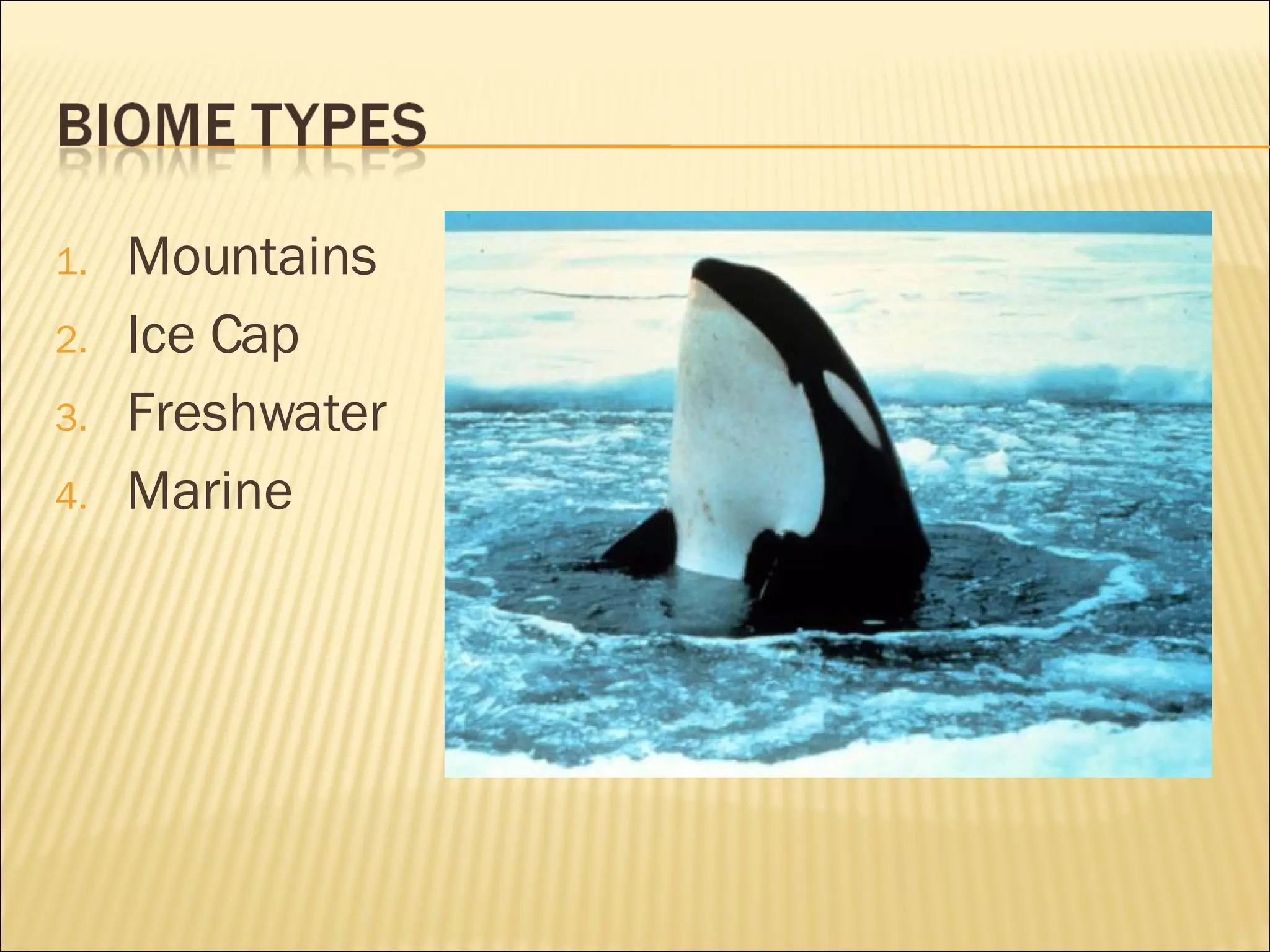 Mountains Ice Cap Freshwater Marine 