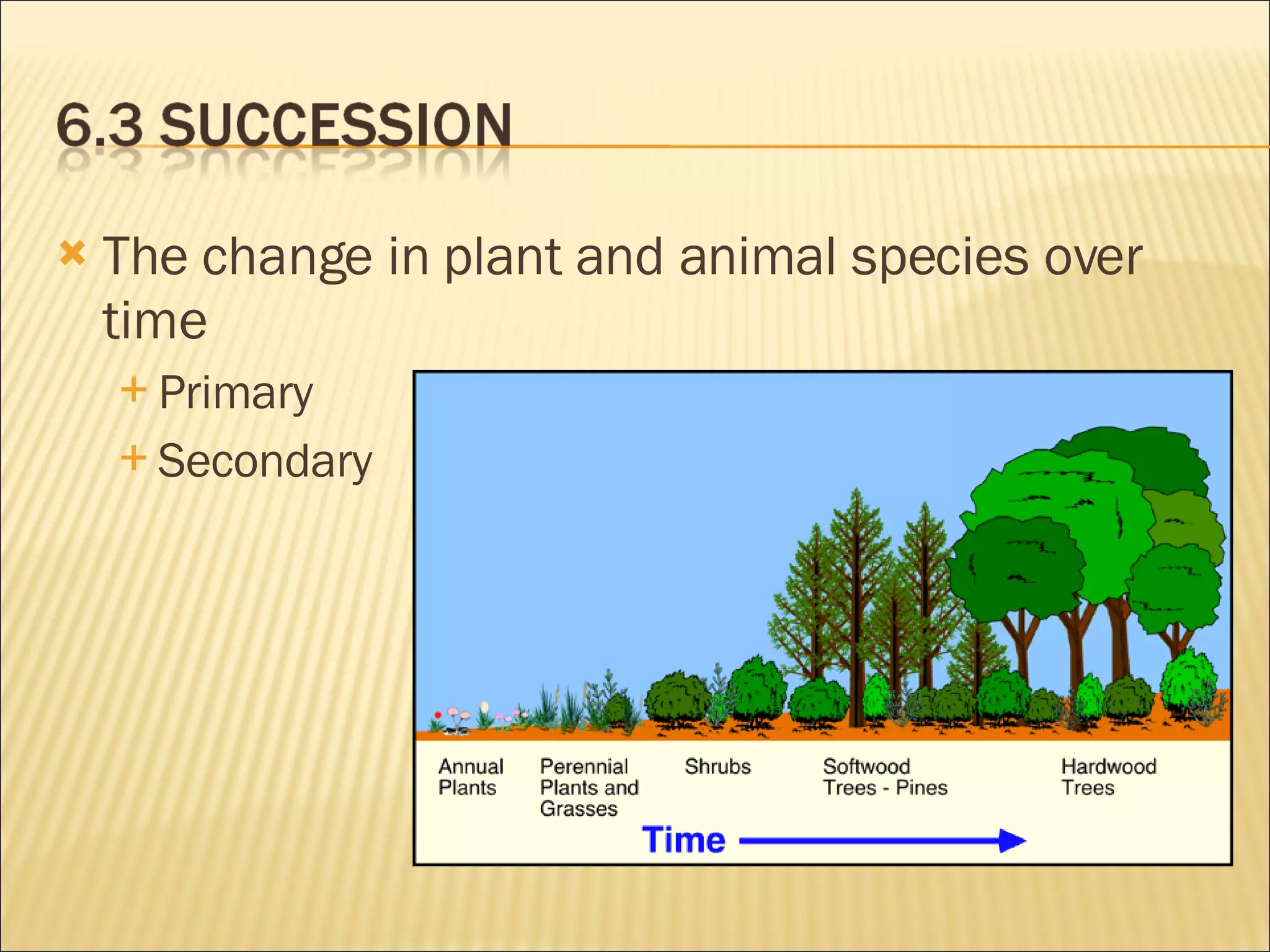 The change in plant and animal species over time Primary Secondary 