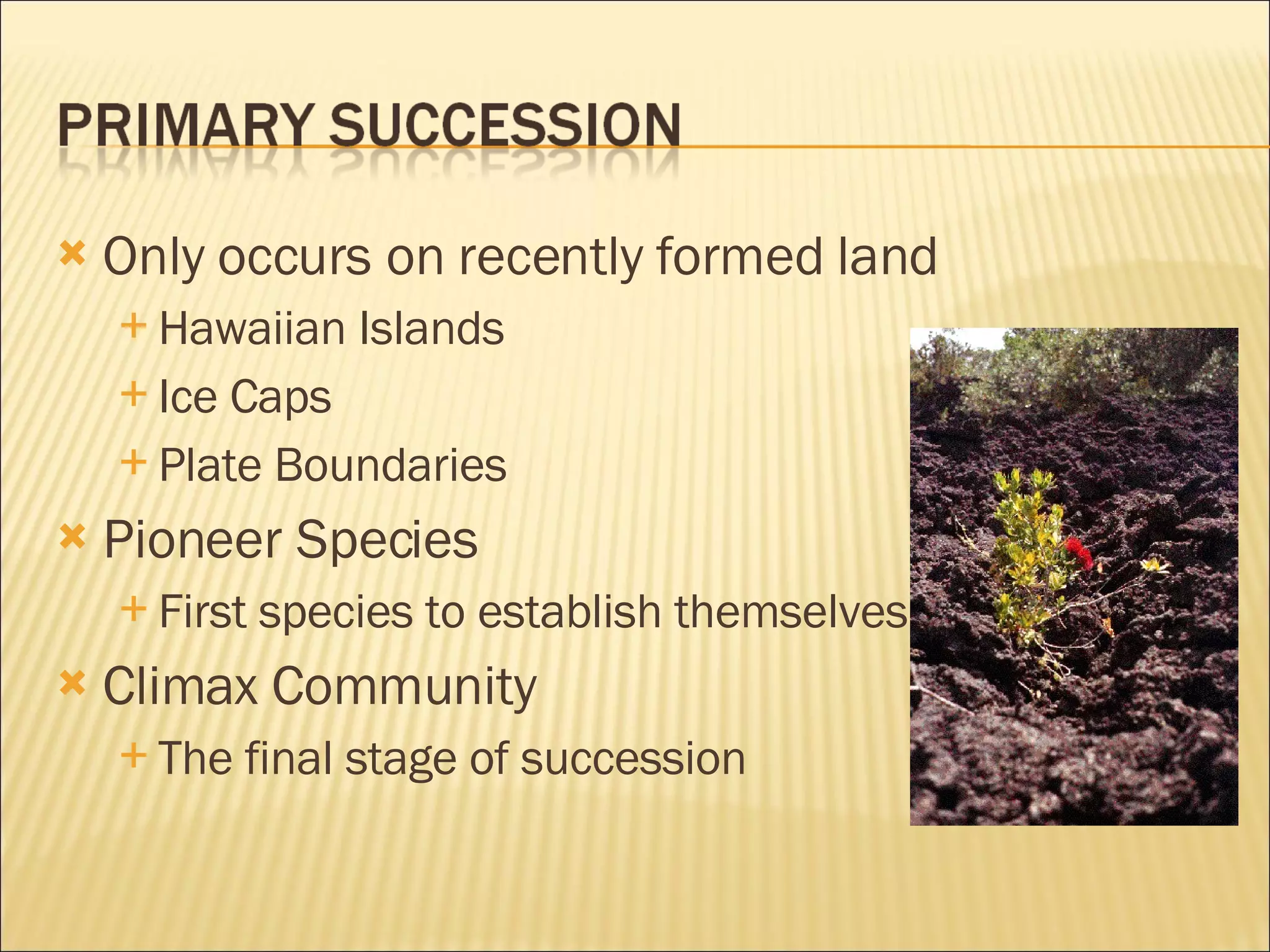 Only occurs on recently formed land Hawaiian Islands Ice Caps Plate Boundaries Pioneer Species First species to establish themselves Climax Community The final stage of succession 