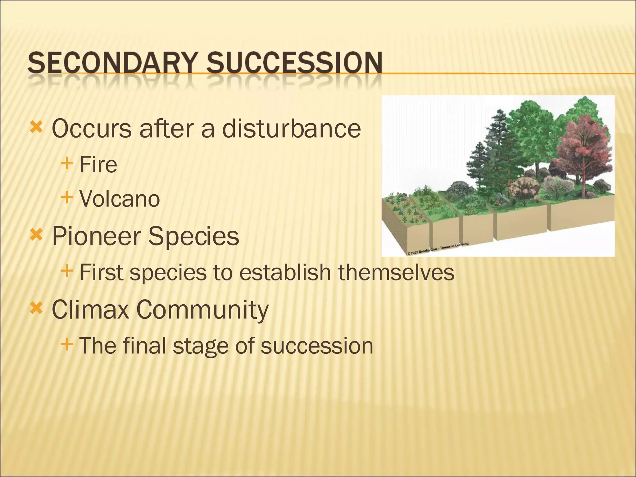 Occurs after a disturbance Fire Volcano Pioneer Species First species to establish themselves Climax Community The final stage of succession 