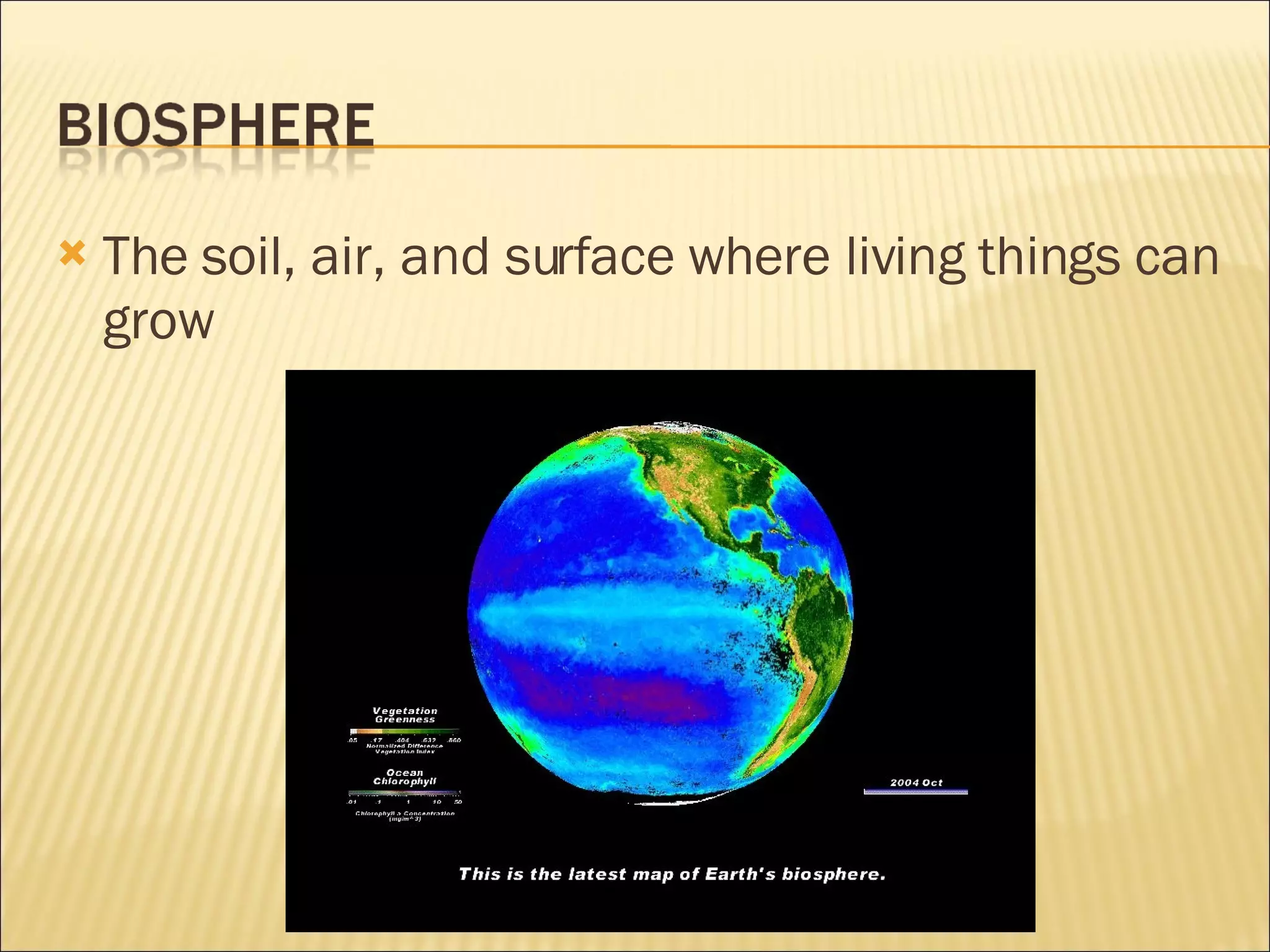 The soil, air, and surface where living things can grow 