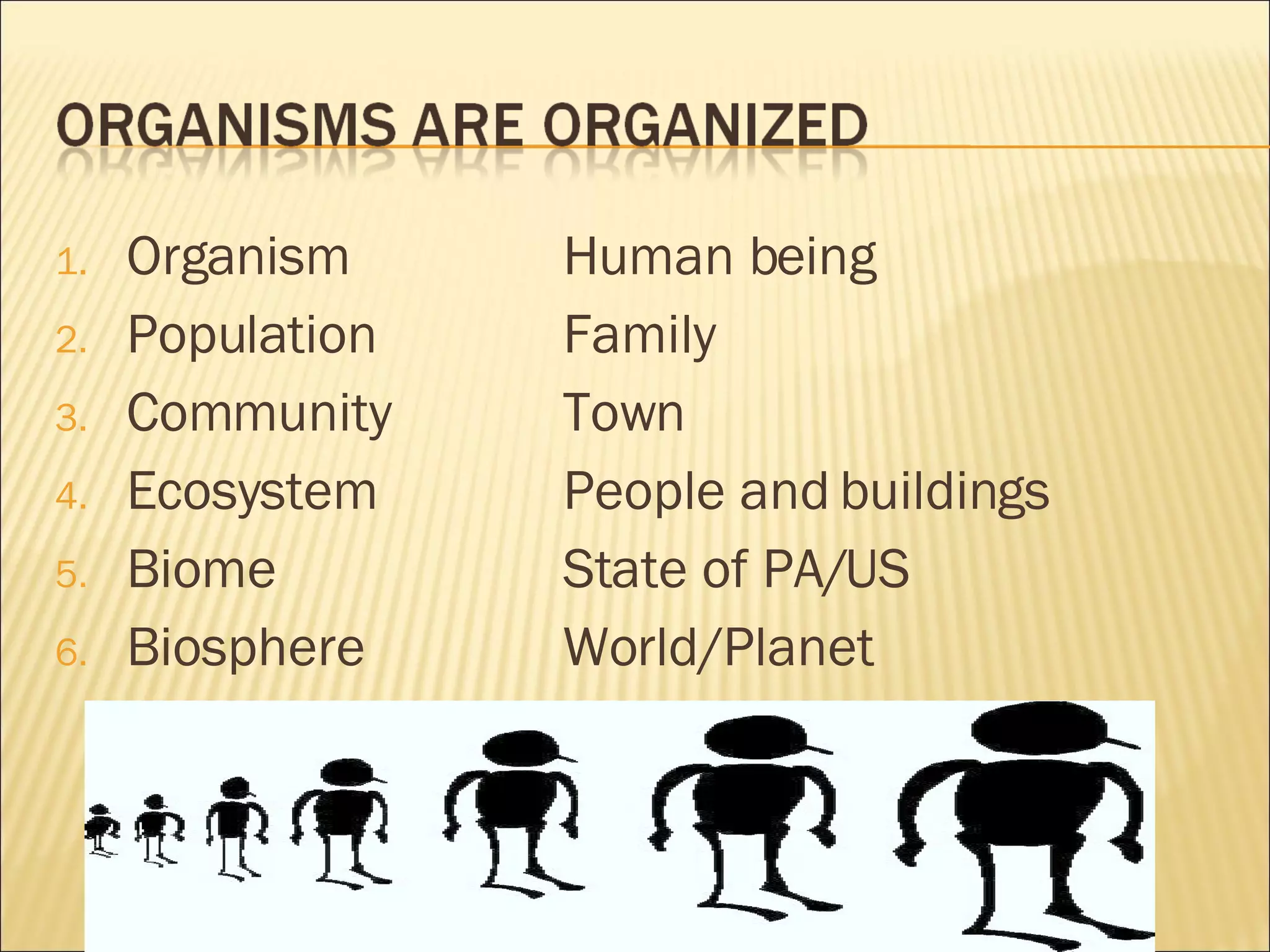 Organism Human being Population Family Community Town Ecosystem People and buildings Biome State of PA/US Biosphere World/Planet 