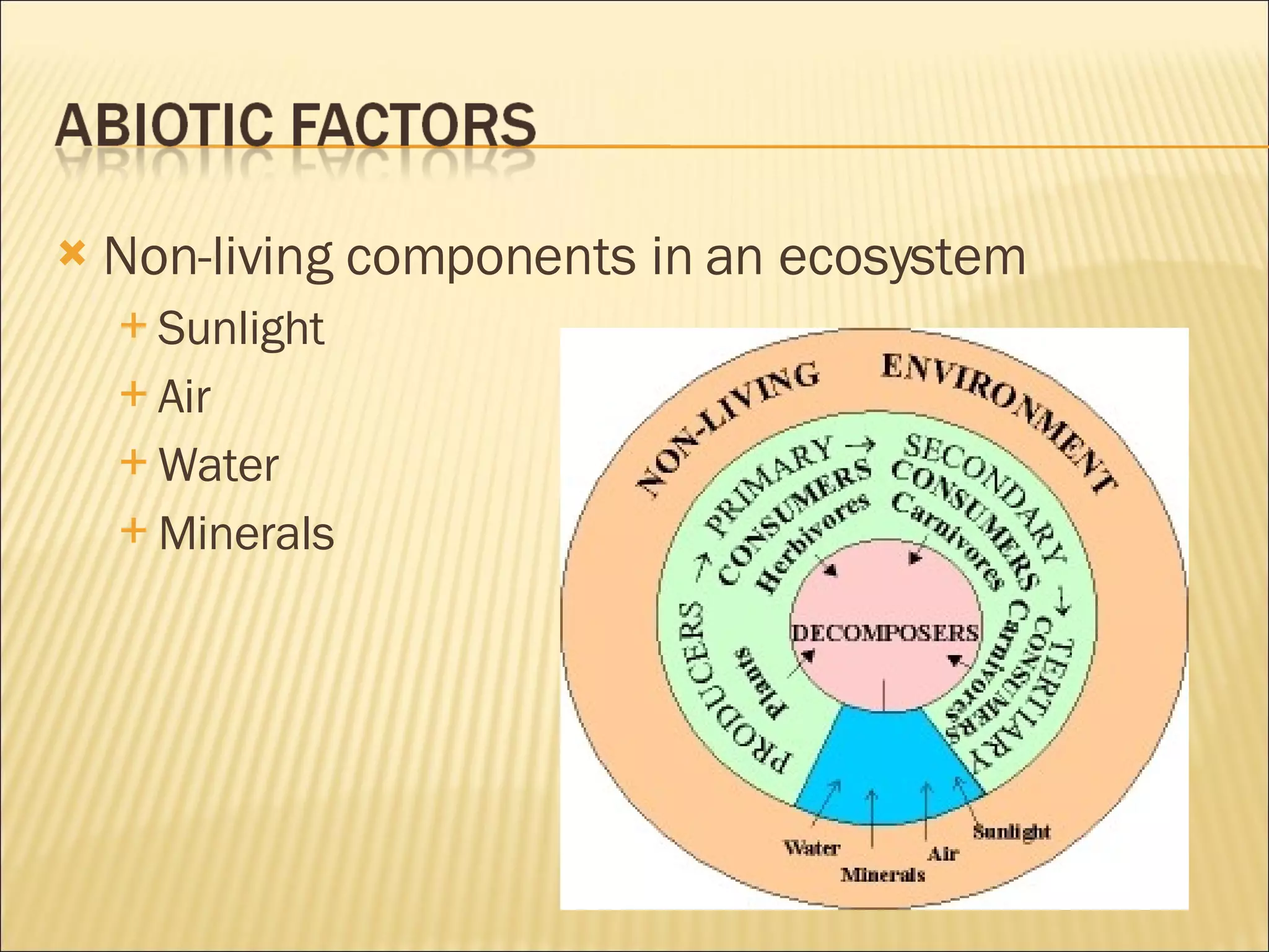 Non-living components in an ecosystem Sunlight Air Water Minerals 