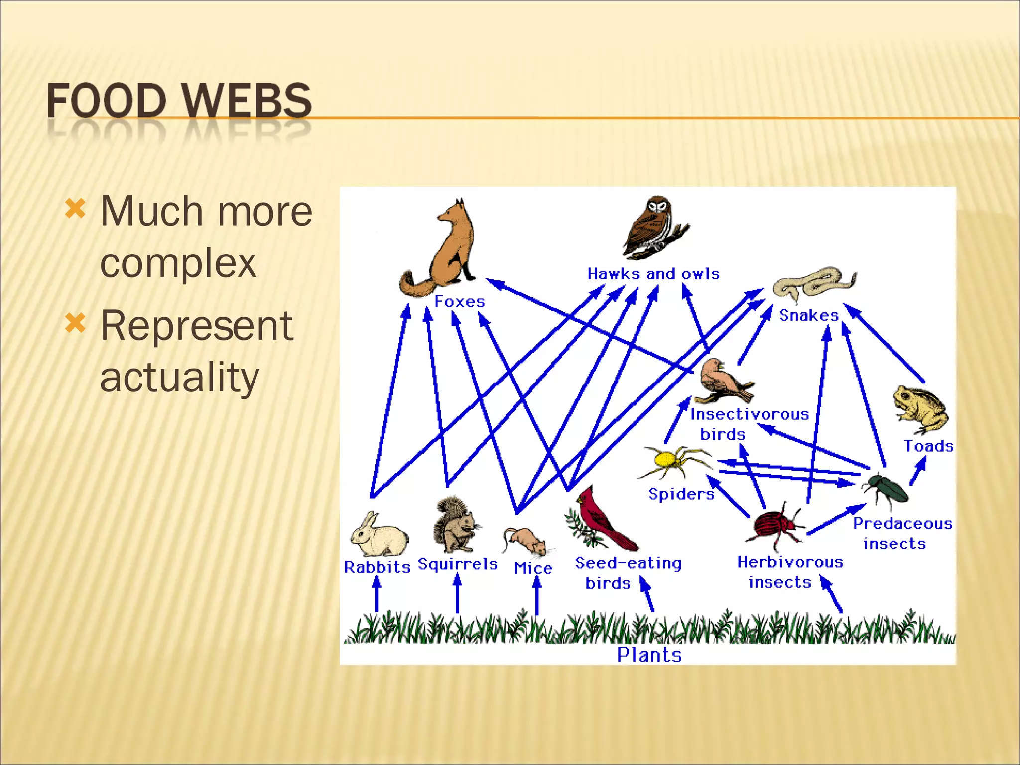 Much more complex Represent actuality 