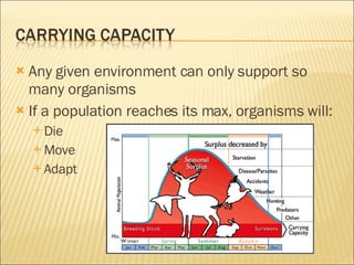 Ecosystems-Chapter 6 Notes | PPT
