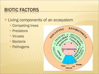 Ecosystems-Chapter 6 Notes | PPT