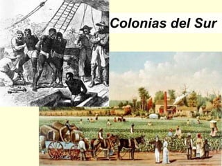 Colonias del Sur 