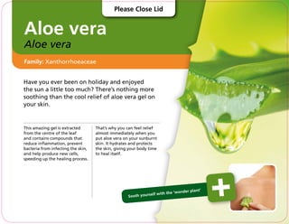 Aloe vera
Aloe vera
Have you ever been on holiday and enjoyed
the sun a little too much? There’s nothing more
soothing than the cool relief of aloe vera gel on
your skin.
This amazing gel is extracted
from the centre of the leaf
and contains compounds that
reduce inflammation, prevent
bacteria from infecting the skin,
and help produce new cells,
speeding up the healing process.
That’s why you can feel relief
almost immediately when you
put aloe vera on your sunburnt
skin. It hydrates and protects
the skin, giving your body time
to heal itself.
Family: Xanthorrhoeaceae
Sooth yourself with the ‘wonder plant’
Please Close Lid
 