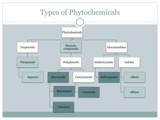 Types of Phytochemicals
Phytochemicals
Terpenoids
Titerpenoid
Saponin
Phenolic
compounds
Polyphenols
Flavonoids
Resveratrol
Catechins
Curcuminoid
Curcumin
Glucosinolates
Isothiocyanate
Sulforaphane
Indoles
Allicin
Allium
 