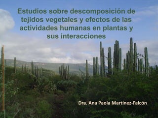 Dra. Ana Paola Martínez-Falcón
Estudios sobre descomposición de
tejidos vegetales y efectos de las
actividades humanas en plantas y
sus interacciones
 