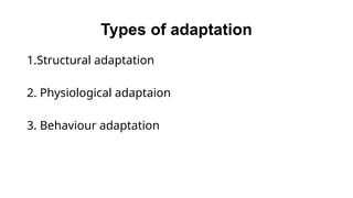 Adaptations and Habitats: Survival Strategies Across Ecosystems | PPTX