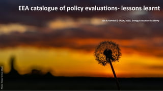 Photo:
Tobias
Terman
Olsen
EEA catalogue of policy evaluations- lessons learnt
EEA & Ramboll | 04/06/2021| Energy Evaluation Academy
 