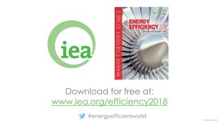 © OECD/IEA 2018
Download for free at:
www.iea.org/efficiency2018
#energyefficientworld
 