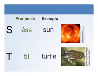 S
Pronúncia Exemplo
sun
éss
LÍNGUA INGLESA, 6º Ano do Ensino Fundamental
Alphabet: Spelling
Imagem:
Sun
in
X-Ray
/
NASA
Goddard
Laboratory
for
Atmospheres
/
Domínio
Público
T turtle
tíi
Imagem:
Goddard
Laboratory
for
Atmospheres
/
Domínio
Público
Imagem:
Turtle
project
in
Bentota,
Sri
Lanka
/
Wouter
Hagens
/
GNU
Free
Documentation
License
 