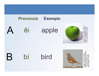A
Pronúncia Exemplo
apple
êi
LÍNGUA INGLESA, 6º Ano do Ensino Fundamental
Alphabet: Spelling
Imagem:
Green
Apple,
Granny
Smith
/
PiccoloNamek
/
GNU
Free
Documentation
License
B bird
bí
Imagem:
Bengal
bushlark
(Mirafra
assamica)
in
Kolkata
/
J.M.Garg
/
GNU
Free
Documentation
License
Imagem:
Green
Apple,
Granny
Smith
/
PiccoloNamek
/
GNU
Free
Documentation
License
 