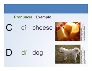 C
Pronúncia Exemplo
cheese
cí
LÍNGUA INGLESA, 6º Ano do Ensino Fundamental
Alphabet: Spelling
Imagem:
Queso
de
oveja
zamorano
/
P.
B.
Obregón
/
GNU
Free
Documentation
License
D dog
dí
Imagem:
Queso
de
oveja
zamorano
/
P.
B.
Obregón
/
GNU
Free
Documentation
License
Imagem:
Polski
Owczarek
Podhalanski
/
Marita
Grasshoff
/
GNU
Free
Documentation
License
 