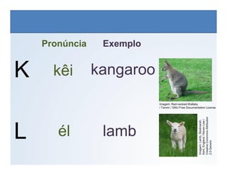 K
Pronúncia Exemplo
kangaroo
kêi
LÍNGUA INGLESA, 6º Ano do Ensino Fundamental
Alphabet: Spelling
L lamb
él
Imagem: Red-necked-Wallaby
/ Tannin / GNU Free Documentation License
Imagem:
Lamb,
Stodmarsh,
Kent,
England
/
Keven
Law
/
Creative
Commons
Attribution
2.0
Generic
 