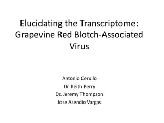 Elucidating the Transcriptome:
Grapevine Red Blotch-Associated
Virus
Antonio Cerullo
Dr. Keith Perry
Dr. Jeremy Thompson
Jose Asencio Vargas
 