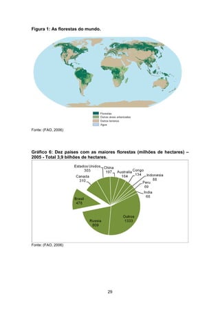 29
Figura 1: As florestas do mundo.
Fonte: (FAO, 2006)
Gráfico 6: Dez países com as maiores florestas (milhões de hectares) –
2005 - Total 3,9 bilhões de hectares.
Fonte: (FAO, 2006)
 