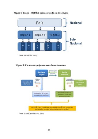 54
Figura 6: Escala – REDD já está ocorrendo em três níveis.
Fonte: (PEDRONI, 2010)
Figura 7: Escalas de projetos e seus financiamentos.
Fonte: (CARBONO BRASIL, 2010)
 