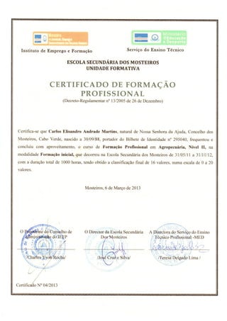 Curriculum Vitae Indicar o Nome(s) Apelido(s)
© União Europeia, 2002-2015 | europass.cedefop.europa.eu Página 9 / 14
 