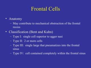 Frontal Cells Anatomy May contribute to mechanical obstruction of the frontal recess Classification (Bent and Kuhn) Type I:  single cell superior to agger nasi Type II:  2 or more cells Type III:  single large that pneumatizes into the frontal sinus Type IV:  cell contained completely within the frontal sinus 
