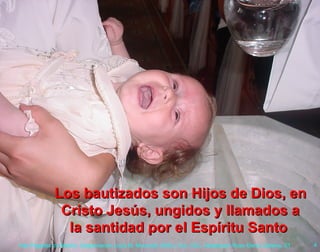 Los bautizados son Hijos de Dios, en Cristo Jesús, ungidos y llamados a la santidad por el Espíritu Santo   