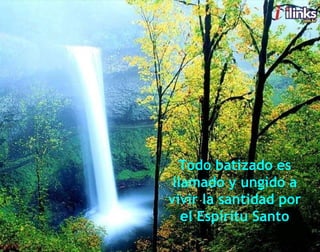 Todo batizado es llamado y ungido a vivir la santidad por el Espíritu Santo 