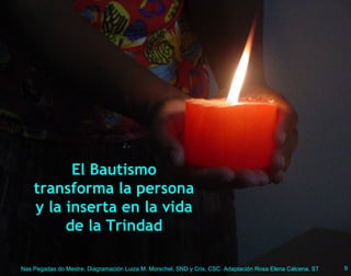 El Bautismo transforma la persona y la inserta en la vida de la Trindad 