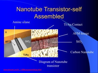 Nanotube Transistor-self
Assembled
www-drecam.cea.fr/.../ LEMautoassemblage.html
Diagram of Nanotube
transistor
Carbon Nanotube
SiO2
Ti/Au Contact
AFM Image
Amine silane
 