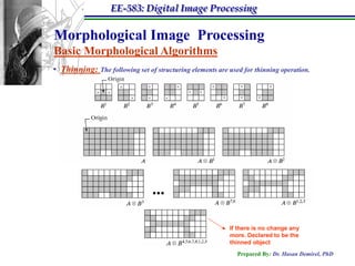 EE-583: Digital Image Processing

Morphological Image Processing
Basic Morphological Algorithms
• Thinning: The following set of structuring elements are used for thinning operation.




                                 ...

                                                           If there is no change any
                                                           more. Declared to be the
                                                           thinned object
                                                             Prepared By: Dr. Hasan Demirel, PhD
 