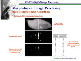 EE-583: Digital Image Processing
Prepared By: Dr. Hasan Demirel, PhD
Morphological Image Processing
Basic Morphological Algorithms
• Connected Component Extraction:
Input image
(Chicken fillet)
15 connected
components with
different number of
pixels
Thresholded image
After erosion by 5x5
square structuring
element of 1’s
 