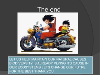 The end
LET US HELP MAINTAIN OUR NATURAL CAUSES
BIODIVERSITY IS ALREADY PLYING ITS CAUSE IN
OUR ECOSYSTEMS LETS CHANGE OUR FUTRE
FOR THE BEST THANK YOU.
 