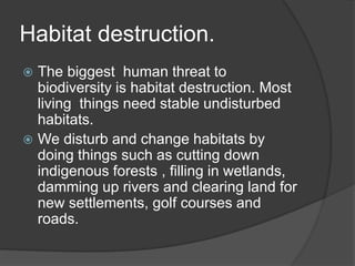 Habitat destruction.
 The biggest human threat to
biodiversity is habitat destruction. Most
living things need stable undisturbed
habitats.
 We disturb and change habitats by
doing things such as cutting down
indigenous forests , filling in wetlands,
damming up rivers and clearing land for
new settlements, golf courses and
roads.
 
